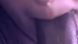 Amateur Vintage Hairy Anal Cute Girl Samantha Bush