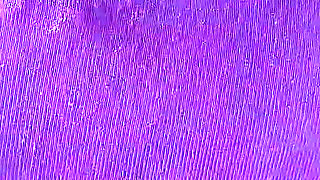 Gym Master Fuck Wife - 2