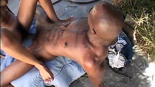 N2 The Gene Pool Black and Ebony