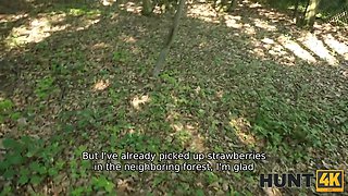 Forest strawberry bet led to a fire rail