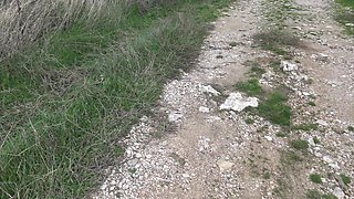Turkish Stepmother Shows Horny Stepson How She Pisses From Her Hairy Pussy