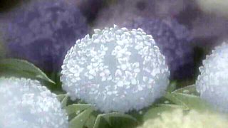 Fuck Me Like A Monster - petite dirt