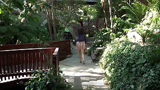 Amateur Travelogue