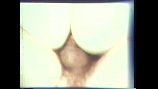 Vulgar Capricious Pig