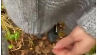 Maevaa Sinaloa - I Swallow A Joggers Cum In The Forest