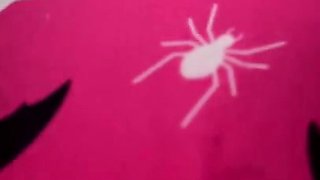 Solo Girl Free Amateur Webcam Porn Video