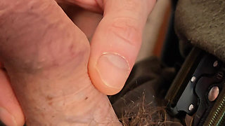 My dick from the fly