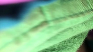 Desi sister-in-law's ass kick