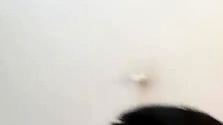 Amateur asian enjoys hardcore fuck in france