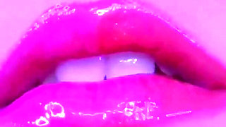 The Legacy Collection