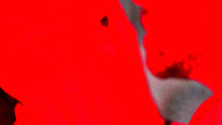 Sacrilegious public blowjob and sex, across from a church