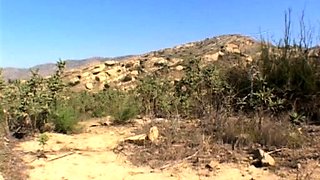 Soft skin and beautiful charmingly babes lesbians licking