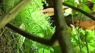 Hooker Gives Wild BJ and Sex in the Woods