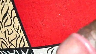 Bhabhi and step brother