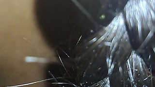 He fuc.k me Roughly.