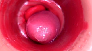 Inside a Camgirl Cervix POV Camera in Vagina with Big Dick Toy