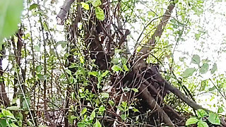 Bhabhi jungle apni brother-in-law se ass marawana chahta rahi aur brother-in-law sister-in-law ki aaj gad maar ega badi loud se