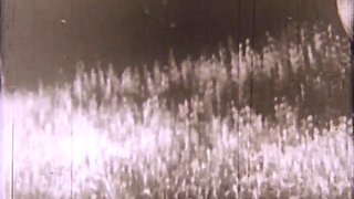 French amateur brunette hardcore fucking