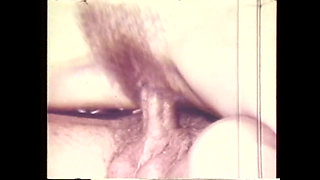 Rick Cassidy Wild Colt