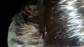 Bustys Cam Webcam Big Boobs Free Big Boobs Cam Porn Video