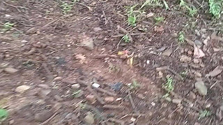 Husband Wife Full Deshi Sexy Videos