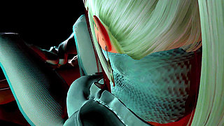 Nylon Shinobi - Trial of Endurance