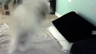 Horniest Amateur COllege Blonde Teen doggied on Webcam