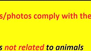 Sexy Seduce Dance Hentai 3D - Uncensored V261
