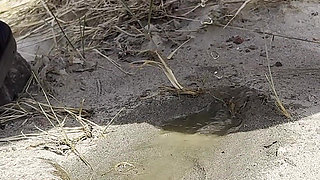 Compilation of Public Pissing in Nature While Traveling! POV!