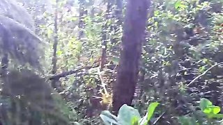 Outdoor suck off by Abella Olsen's wild stepsister in