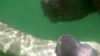 Small titted babe Lauryn May takes