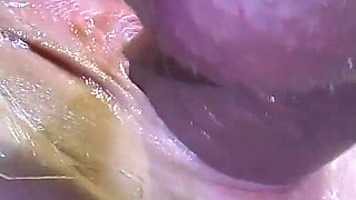 5 Fucking Pussy Spread Far up Close