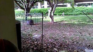 Big boobs milf masturbates with her dildo