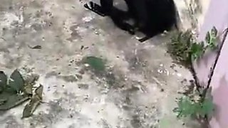 Aunt and step son enjoy intense sensual having sex passion