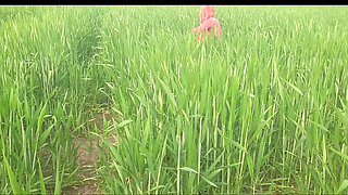 In an open outdoor field, the desi sister-in-law took off her underwear and put her fingers in her pussy and changed her head an