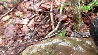 Pussy Pissing Water on the Rock