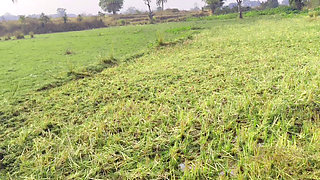 Fucked your stepsister on the pretext of walking in the field