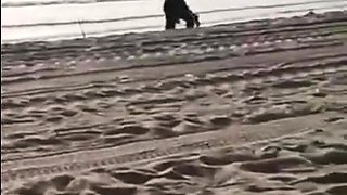 Austin Reign Beach Public Blowjob Premium Snapchat Video