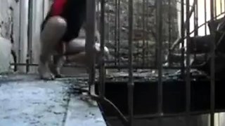 Homeless Big-Cock Amateur Masturbating