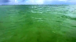 Public Beach Anal Creampie with Screwdriverzz - Risky Outdoor Doggy Style