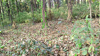 My Step Was Called to the Park Today and Put Her in the Room