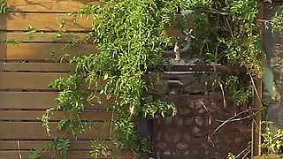 Glimpse Featuring Charlie Forde, Honey Analverkehr, Friedrich Kreuz