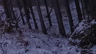 Nude Nature in Winter