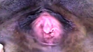 Black Girl Masturbates on Webcam