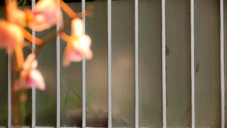 Cute blonde teen in blue panties masturbation on webcam