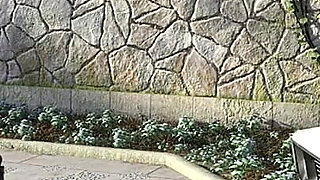 Halfway house - Journey to the train station (24)