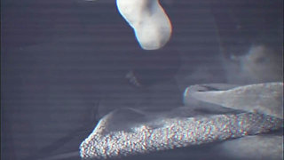 Flatmate Caught Peeing on Night Vision Cam