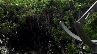 Naughty outdoor slut
