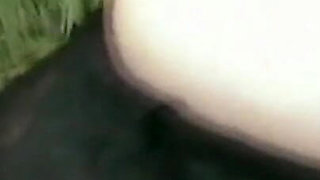 Masturbate for the Random