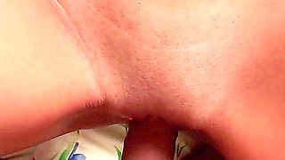 A Dream Of Two Cocks Fully